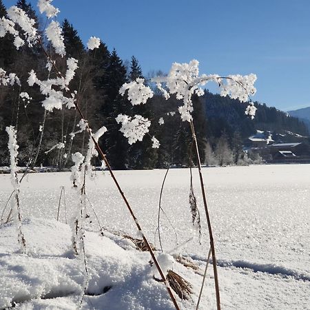 Griesbachhof-Wilder Kaiser Oberndorf in Tirol Exteriör bild