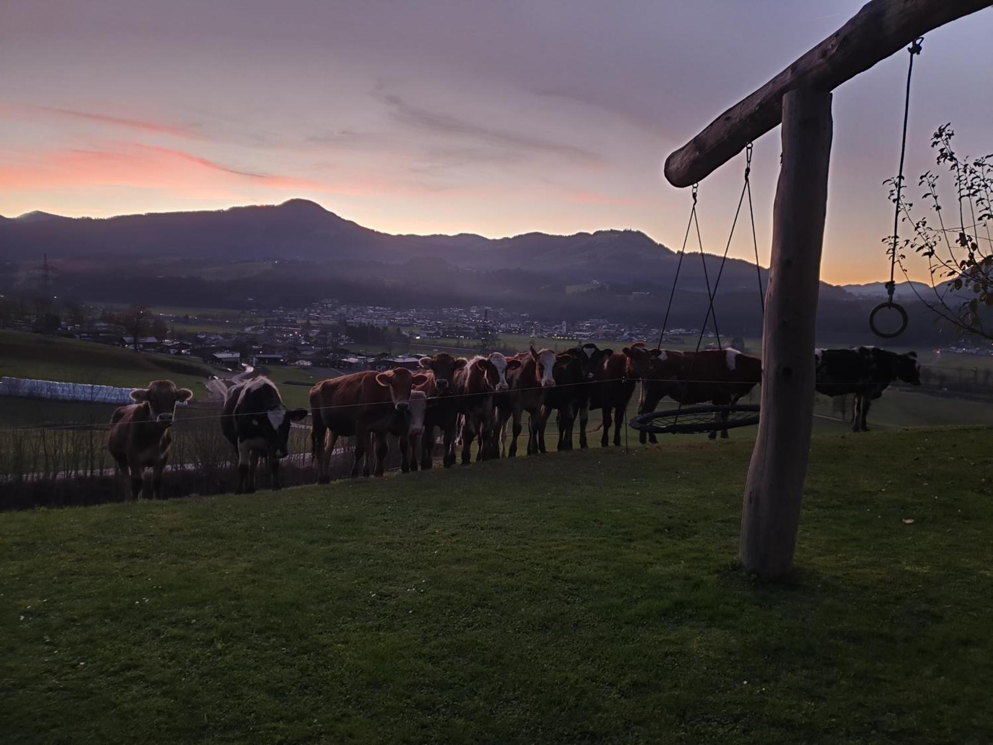 Griesbachhof-Wilder Kaiser Oberndorf in Tirol Exteriör bild