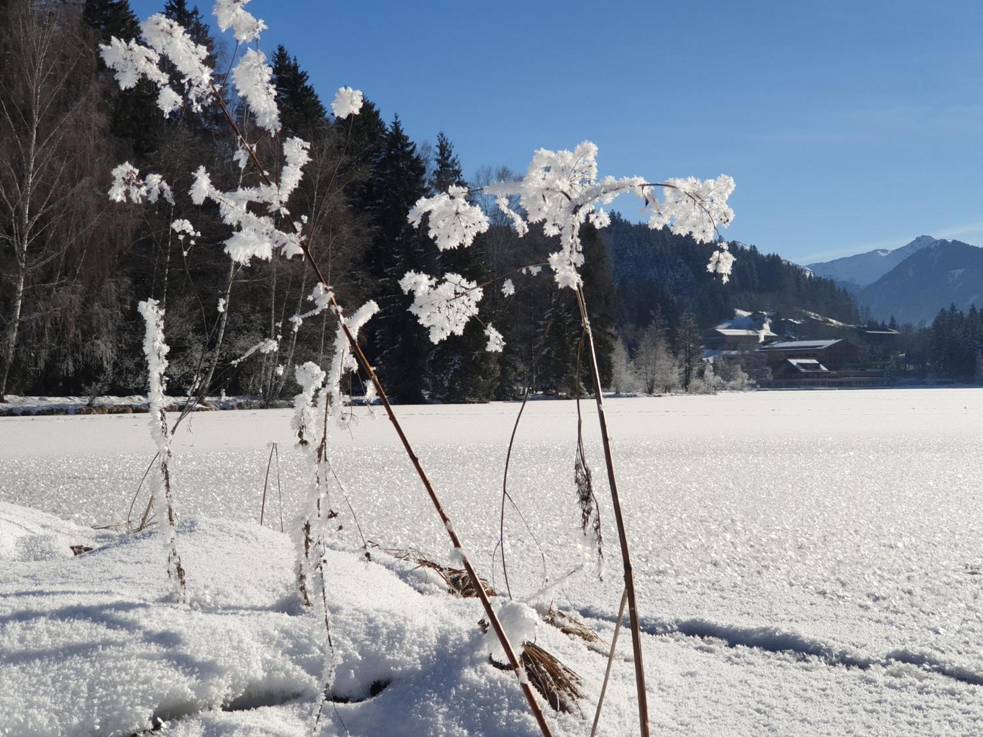 Griesbachhof-Wilder Kaiser Oberndorf in Tirol Exteriör bild