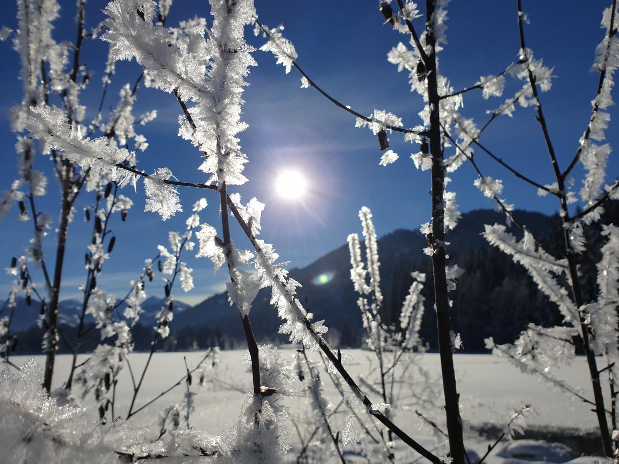 Griesbachhof-Wilder Kaiser Oberndorf in Tirol Exteriör bild