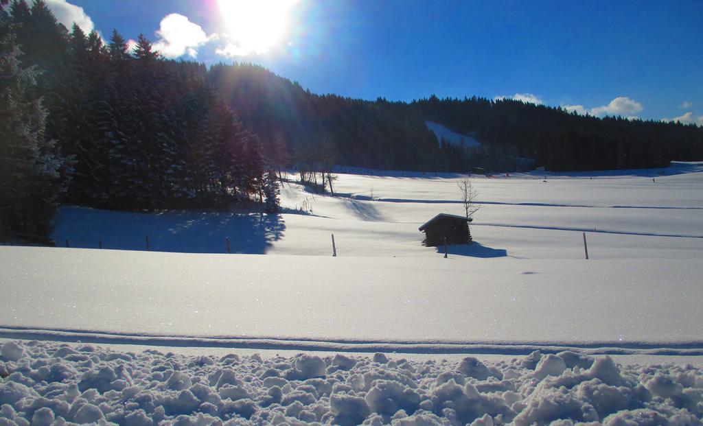Griesbachhof-Wilder Kaiser Oberndorf in Tirol Exteriör bild